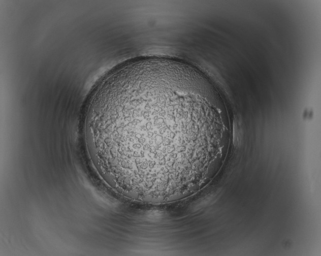 X0000110700204200906261415