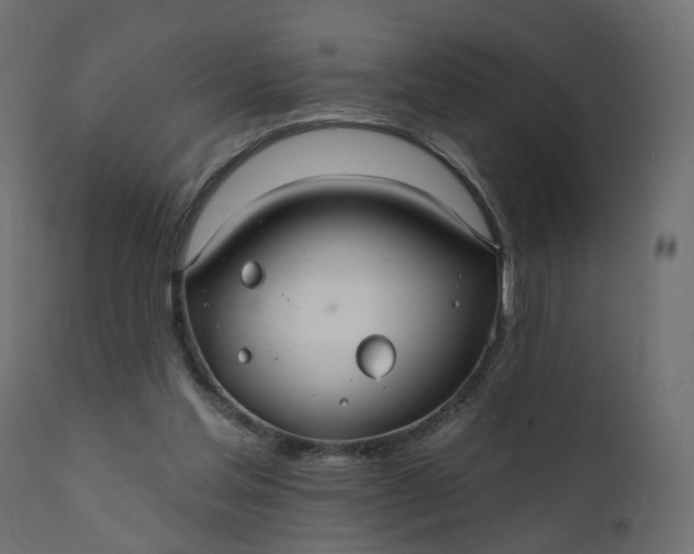 X0000110700205200906261415