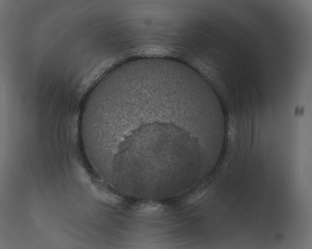 X0000110700206200906261415