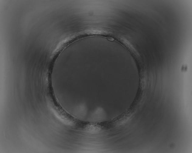 X0000110700207200906261415