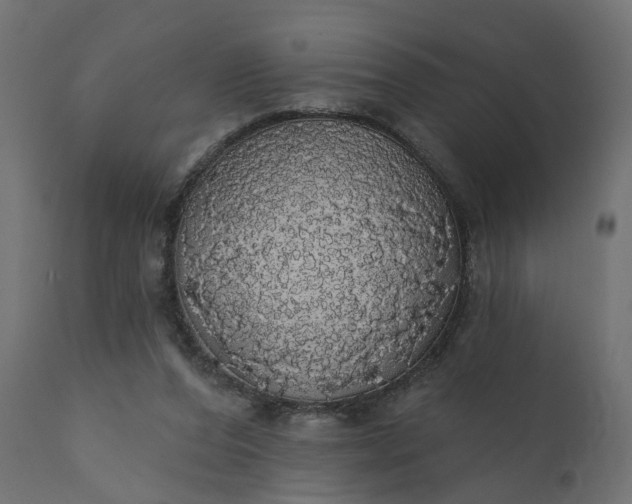 X0000110700208200906261415