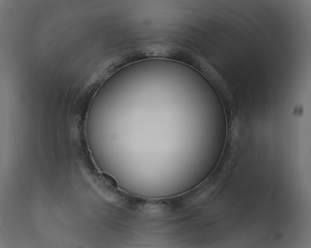 X0000110700209200906261415