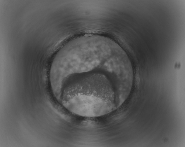 X0000110700211200906261415