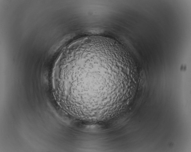 X0000110700212200906261415