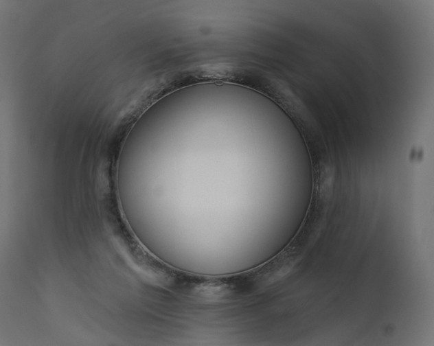 X0000110700213200906261415