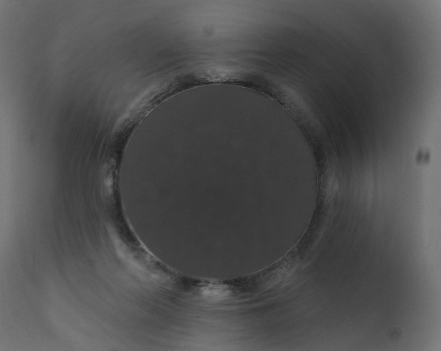 X0000110700214200906261415