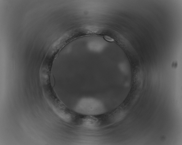 X0000110700215200906261415