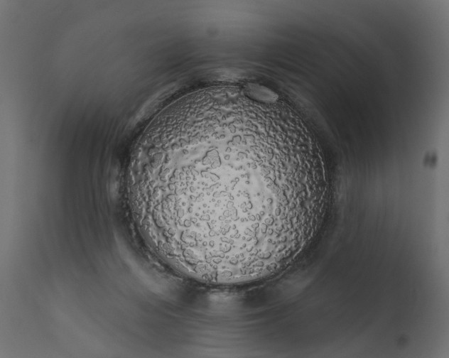 X0000110700216200906261415