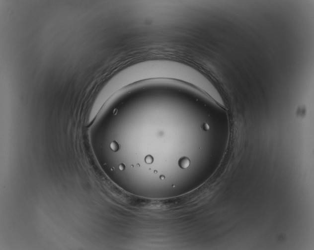 X0000110700217200906261415