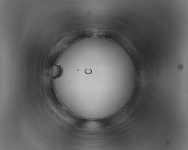 X0000110700218200906261415