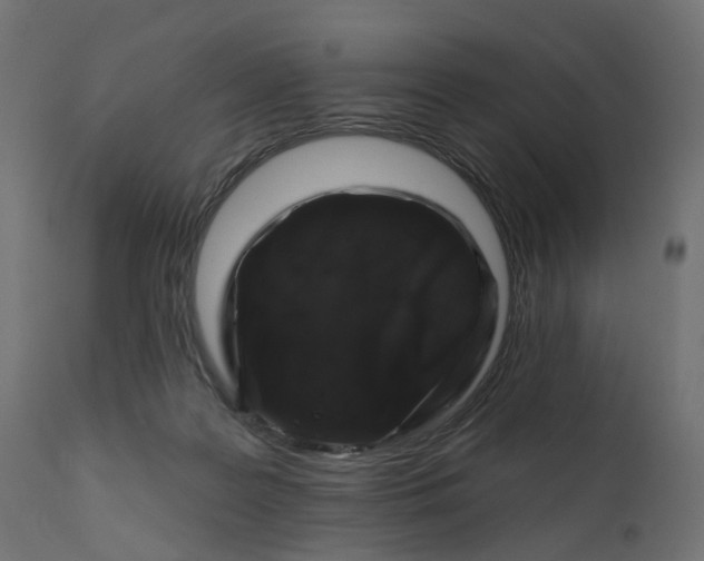 X0000110700219200906261415