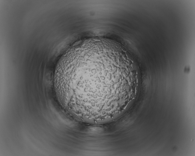 X0000110700220200906261415