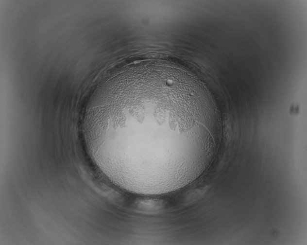 X0000110700221200906261415