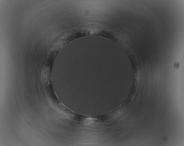 X0000110700222200906261415