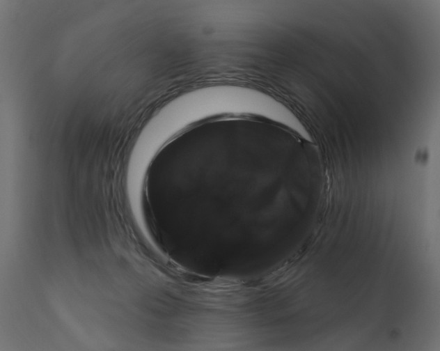 X0000110700223200906261415