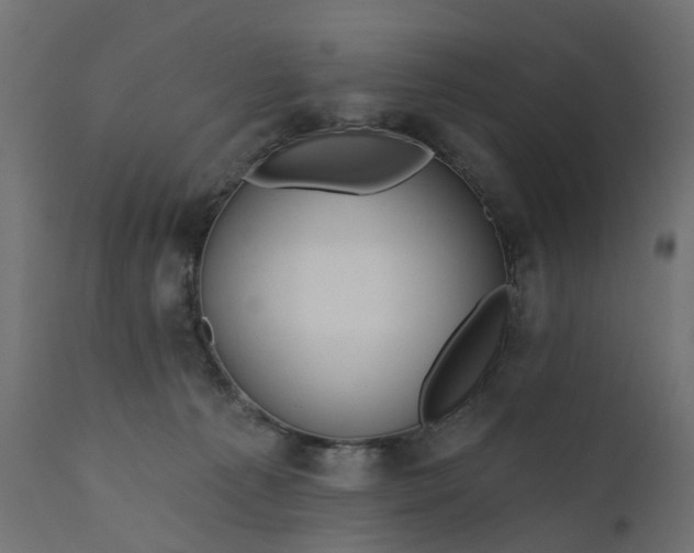 X0000110700225200906261415