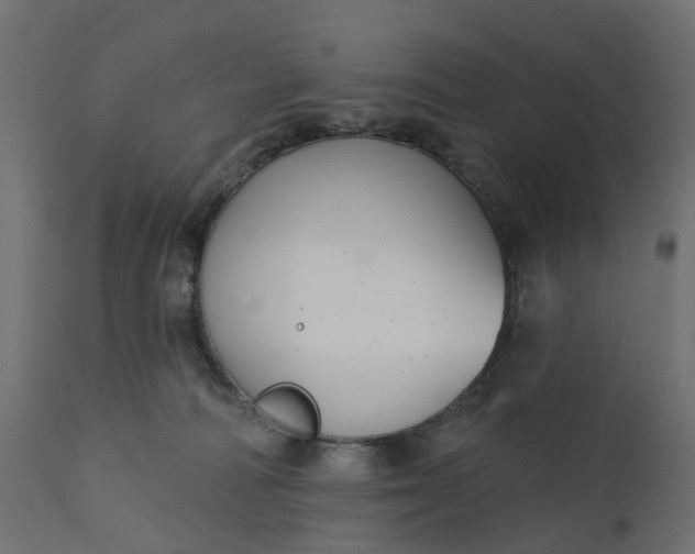 X0000110700226200906261415