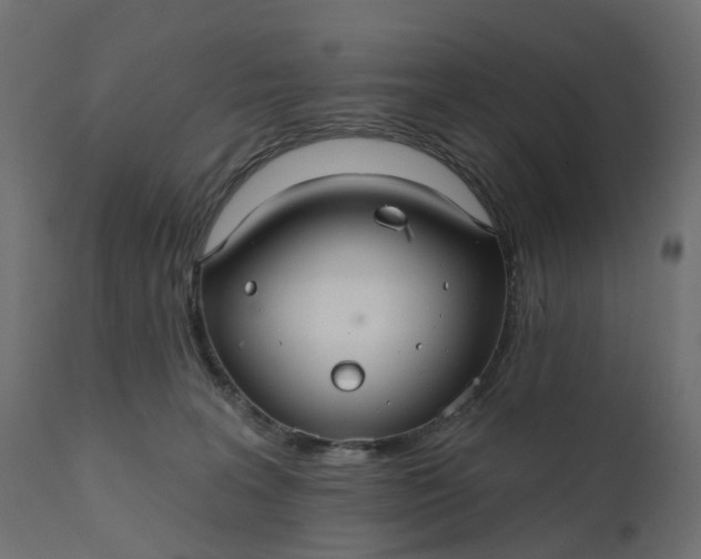 X0000110700227200906261415