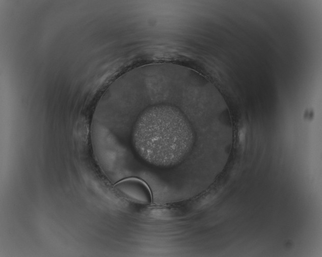 X0000110700228200906261415