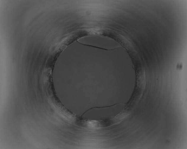 X0000110700229200906261415