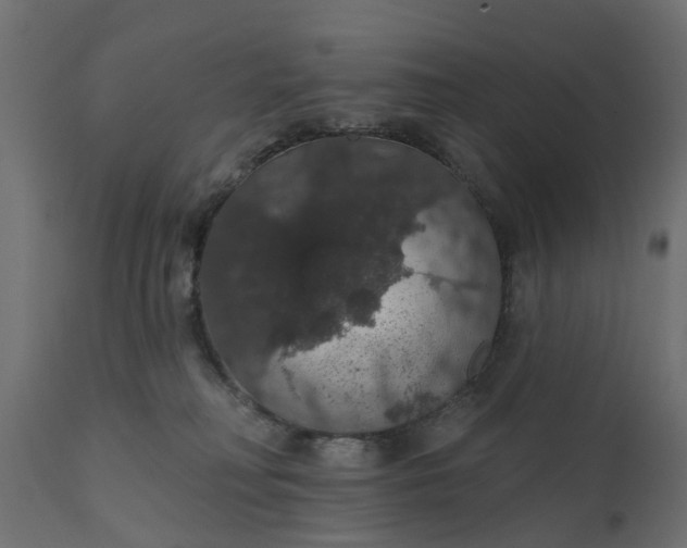 X0000110700230200906261415