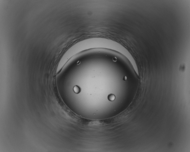 X0000110700231200906261415