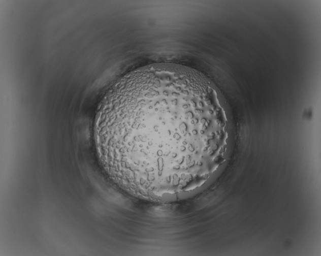 X0000110700232200906261415