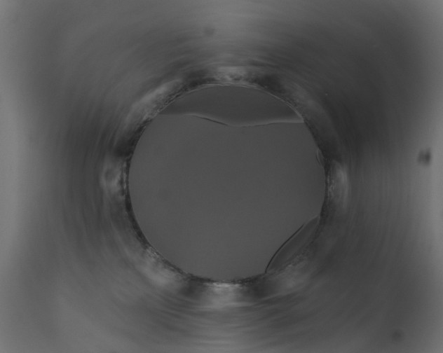 X0000110700233200906261415