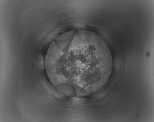 X0000110700234200906261415