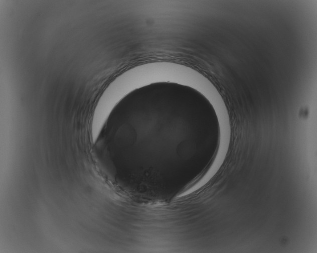 X0000110700235200906261415