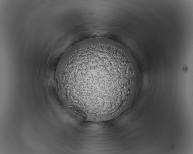 X0000110700236200906261415