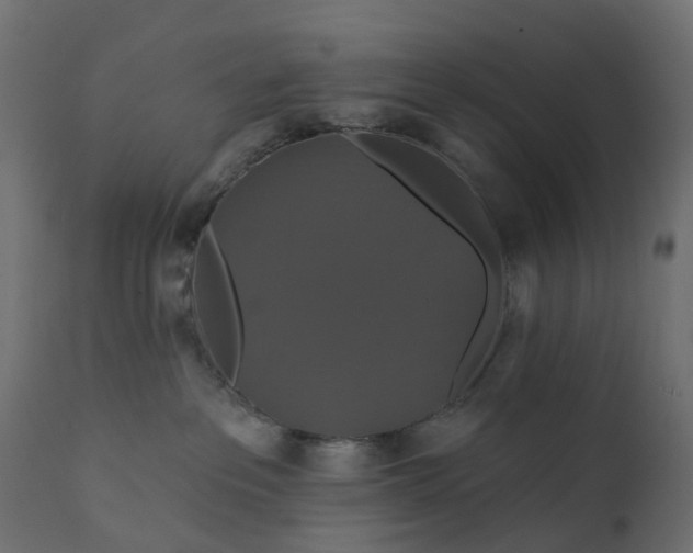 X0000110700237200906261415