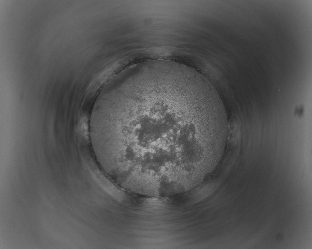 X0000110700238200906261415