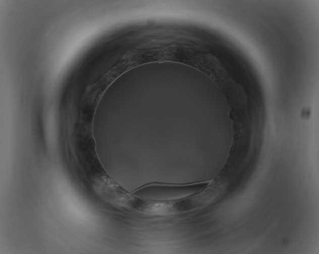 X0000110700239200906261415