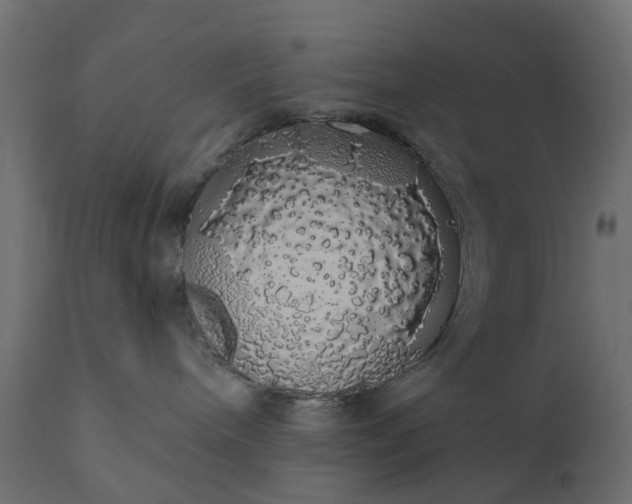 X0000110700240200906261415