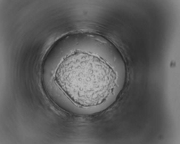 X0000110700241200906261414