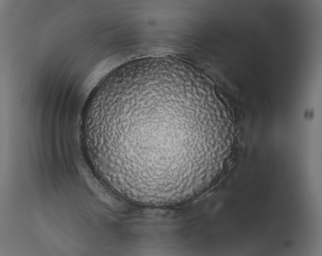 X0000110700242200906261414