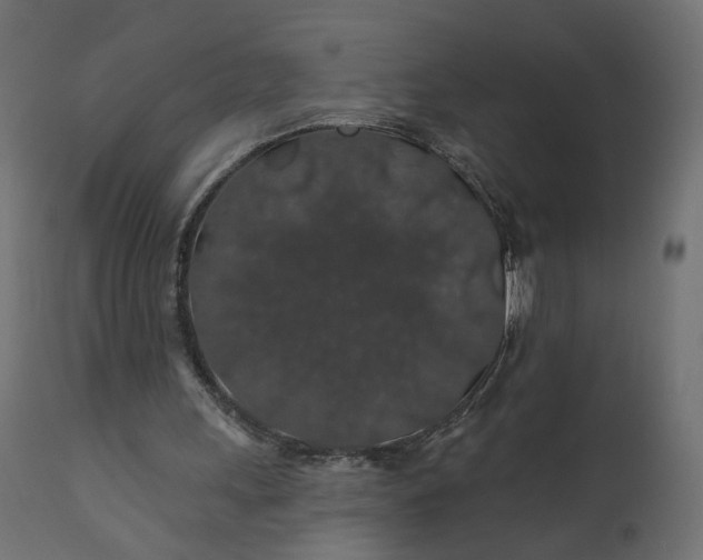 X0000110700243200906261414