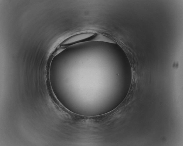 X0000110700244200906261414