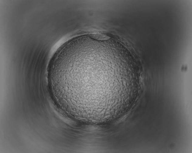 X0000110700246200906261414