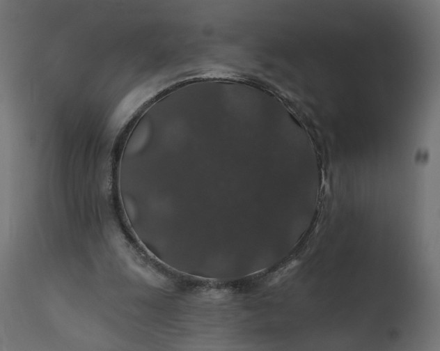 X0000110700247200906261414