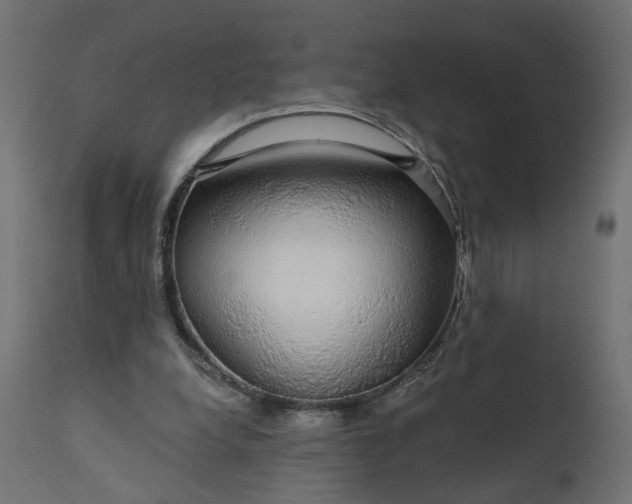 X0000110700248200906261414