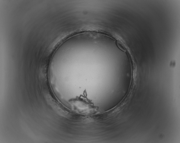 X0000110700249200906261414