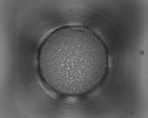 X0000110700252200906261414