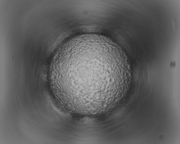 X0000110700255200906261414