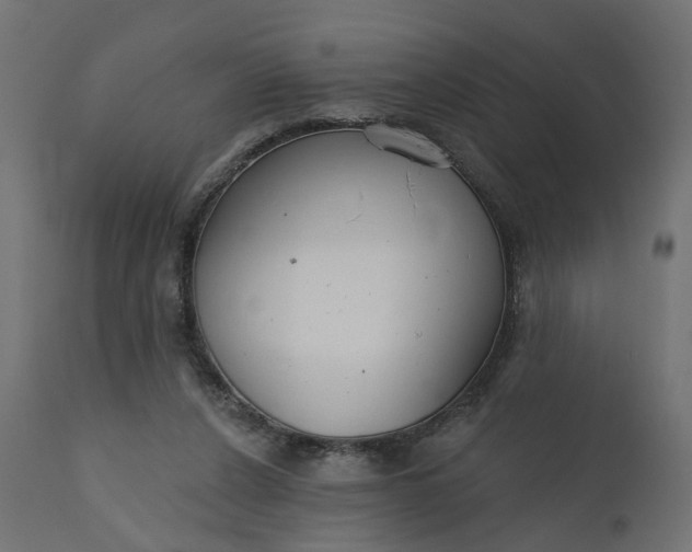 X0000110700256200906261414