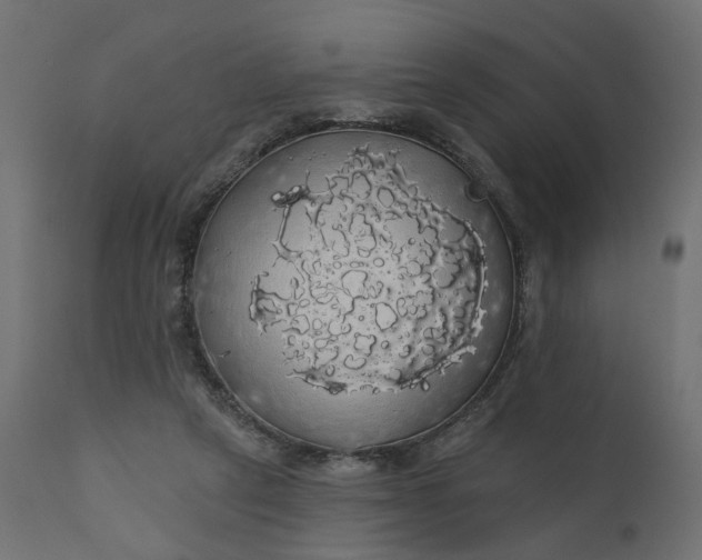 X0000110700257200906261414