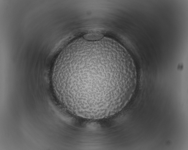 X0000110700258200906261414