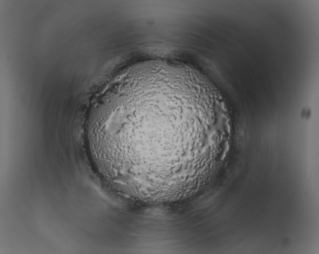 X0000110700259200906261415