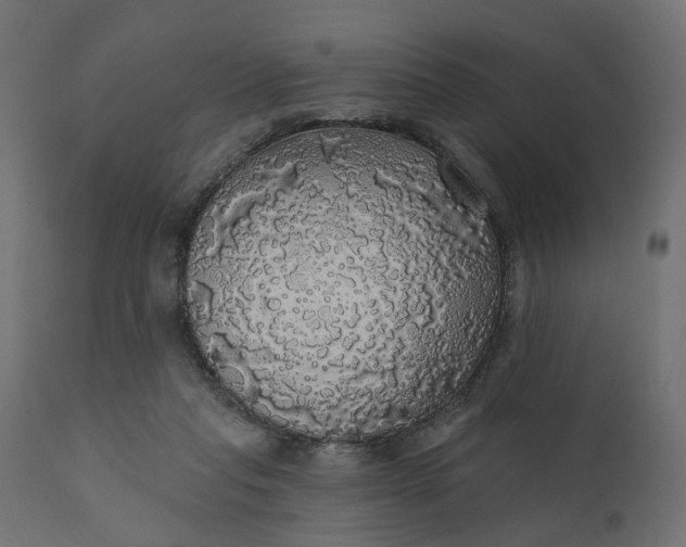 X0000110700261200906261415